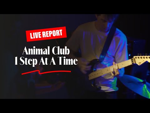 Dirty Shirt Live Report - Animal Club / 1 Step At A Time