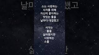 ADAM❤️EVE (아담과이브 -  소와 사자  )