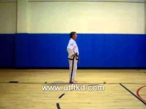 ToiGye (Blue Belt Red Stripe) Front View