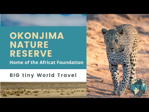 Okonjima Nature Reserve: Big Cats in Namibia