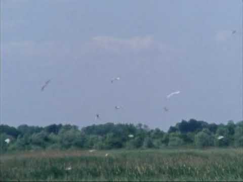 SUPER 8 film - Bardača