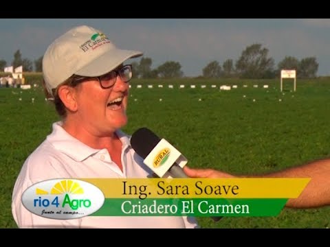 PROGRAMA RIO 4 AGRO 14 03 BLOQUE 1 - CRIADERO EL CARMEN