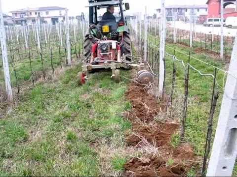 Scalzatore Tonolini --herbanet2000--