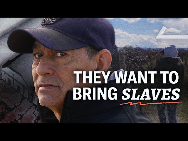 The People Breaking Immigration Law Are Not Who You Think SDDEFAULT Thumbnail
