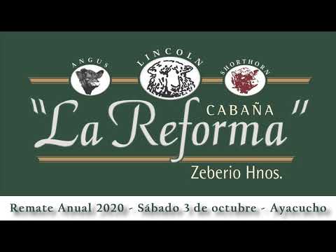 Backstage de Cabaña La Reforma de Zeberio Hnos. - Venta Anua, Sábado 3 de octubre de 2020 - Ayacucho