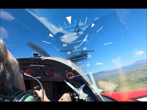 PhysicsAI team dogfighting IRL!!! 12 dogfights ✈️