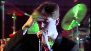 Danza Invisible - Mercado Negro