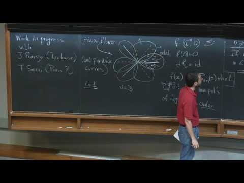 Fatou flowers and parabolic curves - Marco Abate