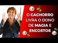 O CACHORRO livra o dono de MAGIA e ENCOSTOS por Márcia Fernandes