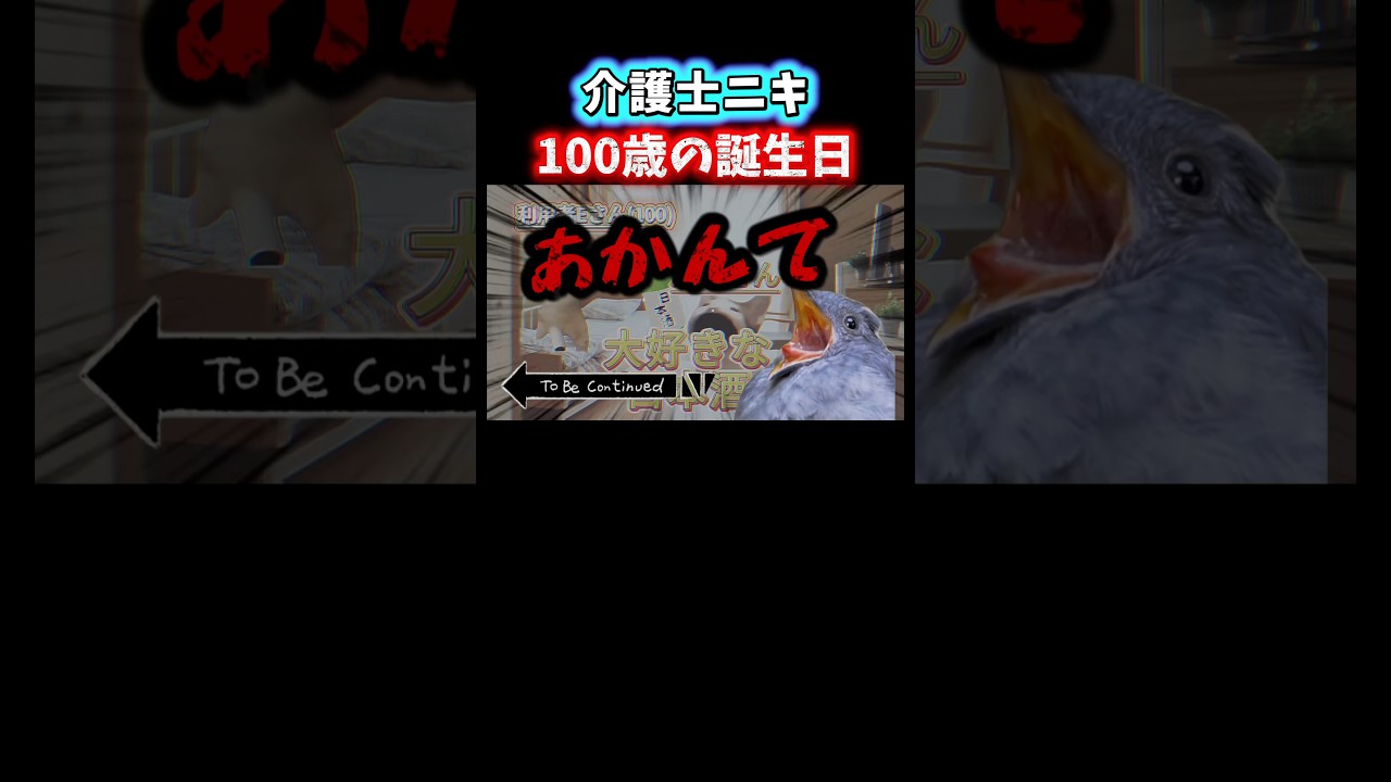 【警告】酒は飲んでも呑まれるな！ #shorts #介護 #介護士 #猫ミーム #鳥ミーム