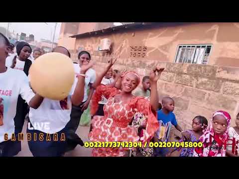 Lil Gang - GAMBISARA