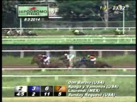 6TA CARRERA DEL DOMINGO 3 DE AGOSTO DEL 2014