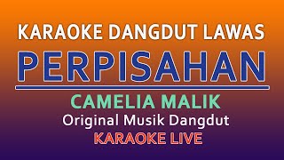 Download lagu PERPISAHAN CAMELIA MALIK - KARAOKE DANGDUT LAWAS NO VOKAL mp3