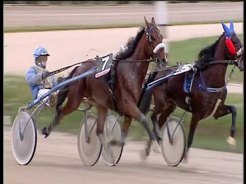 Trotto 28/10/2018 - 2ª corsa