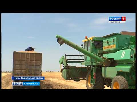 Вести «Калмыкия»: дневной выпуск 27.06.2018