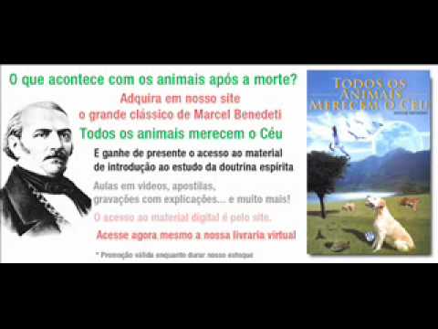 Experiência fora do corpo com animais
