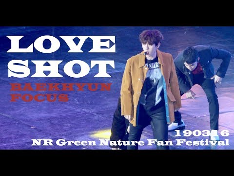 [4K] 190316 엑소 EXO 네이처팬페스티벌 Green Nature Fan Festival - Love Shot - Baekhyun 백현 Focus 직캠
