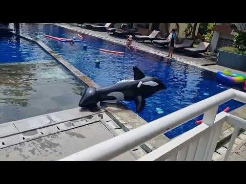 NEW GARDEN VIEW HOTEL Jalan Padma Utara Legian - 6th February 2025