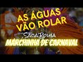 CARNAVAL MARCHINHA SACA ROLHA AS ÁGUAS VÃO ROLAR Carnaval Folia Carnival Quickmessages