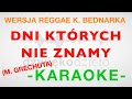 Dni Których Nie Znamy (K. Bednarek ver.) - Dźwiękodzieło Instrumental Podkład KARAOKE