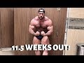 AVP EPISODE 2 : 11.5 weeks out POSING
