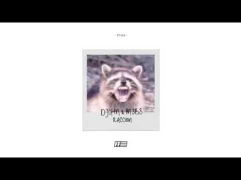 D-John & M3B8 - Raccoon