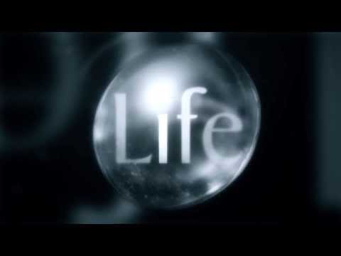 Tauck Earth Journeys created with BBC