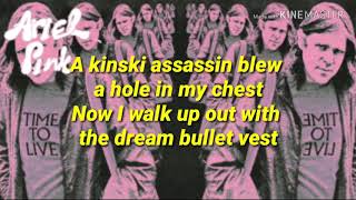 Kinski Assassin - Ariel Pink ( Lyrics )