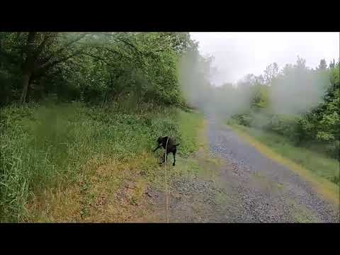 AMPWDA level 1 cert trail (4x speed until end)