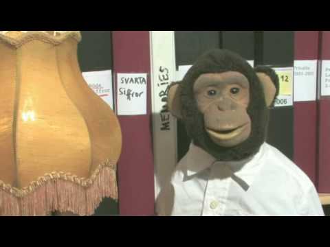 Alejandro Fuentes Bergström - Att vara cool