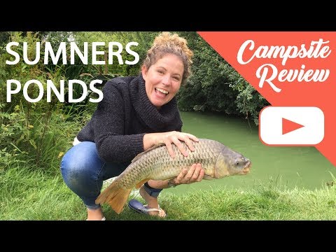 download lagu mp3 mp4 Sumners Pond, download mp3 Sumners Pond free downloadn, video klip Sumners Pond