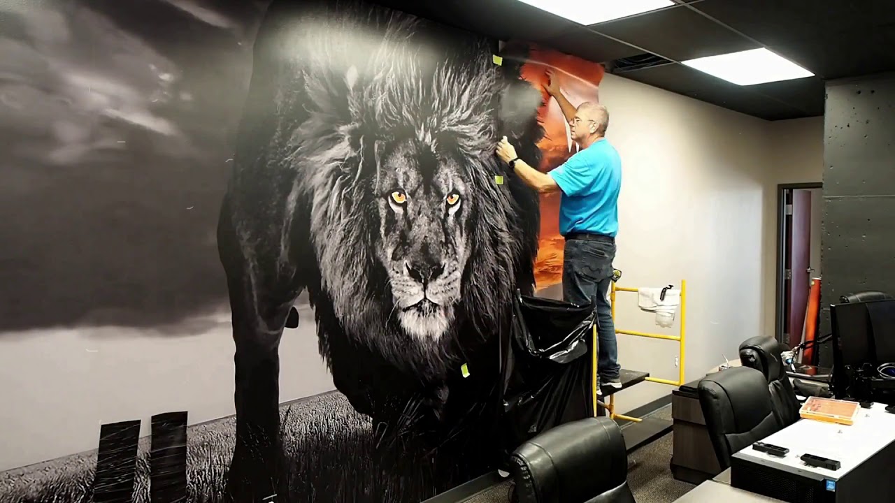 Creative Source Wall Graphics Installation