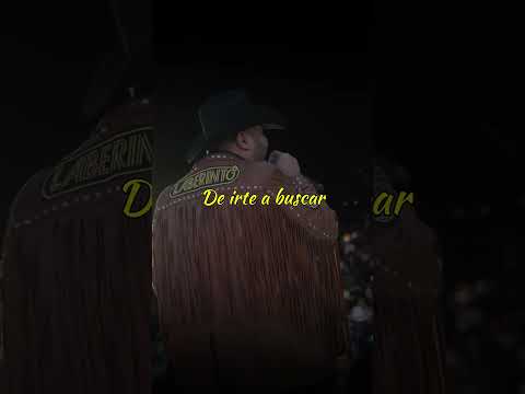 Las noches sin ti, agrandan mi soledad 💔🎶🍻#grupolaberinto  #LaberintoOficial #contenido