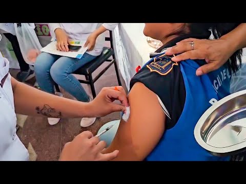 El Gobierno comenzó a vacunar contra el dengue al personal estratégico del área de Seguridad y Educación