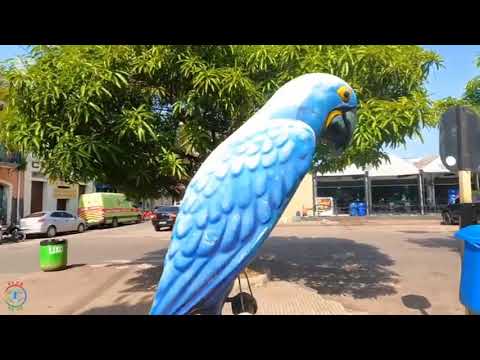 Conheça um pouco de Santarém-Pará "pérola do Tapajós" Futura capital de Tapajós