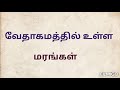 Bible Quiz Tamil வேதாகமத்தில் உள்ள மரங்கள் Trees In Bi