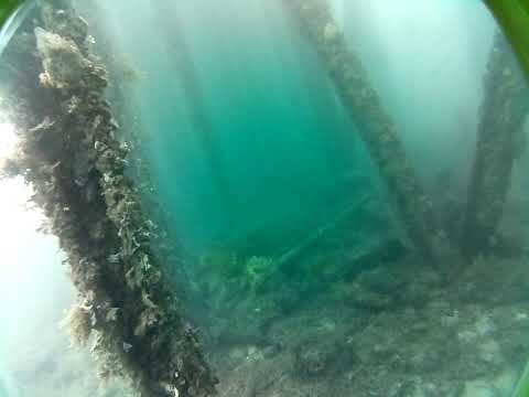 Rapid Bay Live by AusOcean 21/02/2023