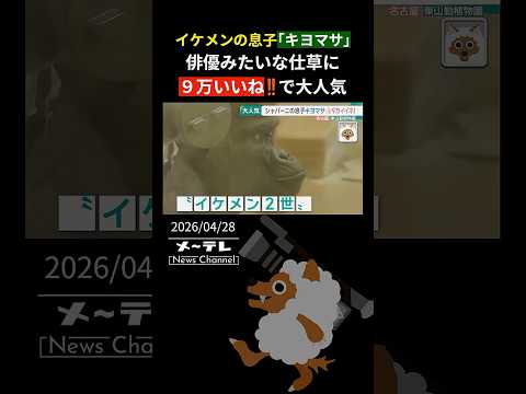 Kiyomasa Japanese news video thumbnail