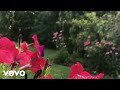 Lugo - God is the reason
