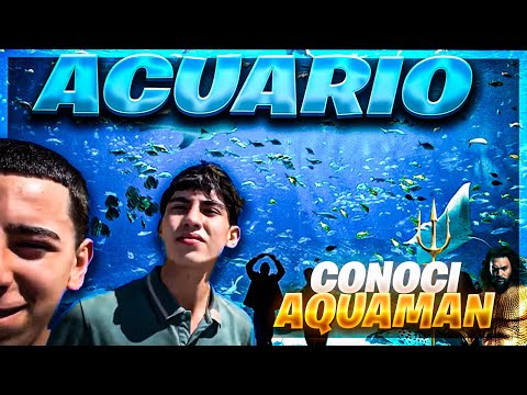 CONOCÍ AQUAMAN🔱🤣Y EL ACUARIO MÁS GRANDE DE MEXICO ​⁠@manuelpompass