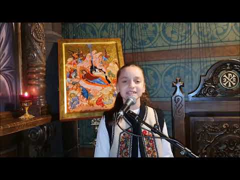 Daria Moldovan - Vin colindătorii