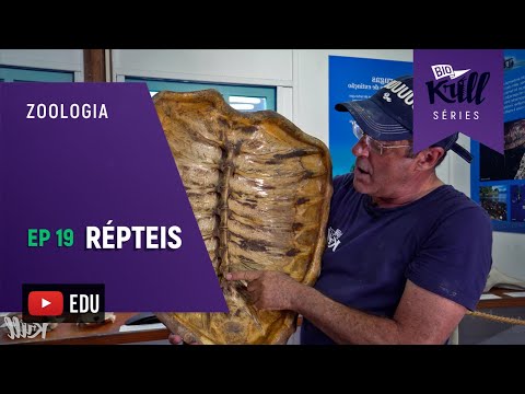 Répteis (Zoologia- EP19) I Biokrill Séries