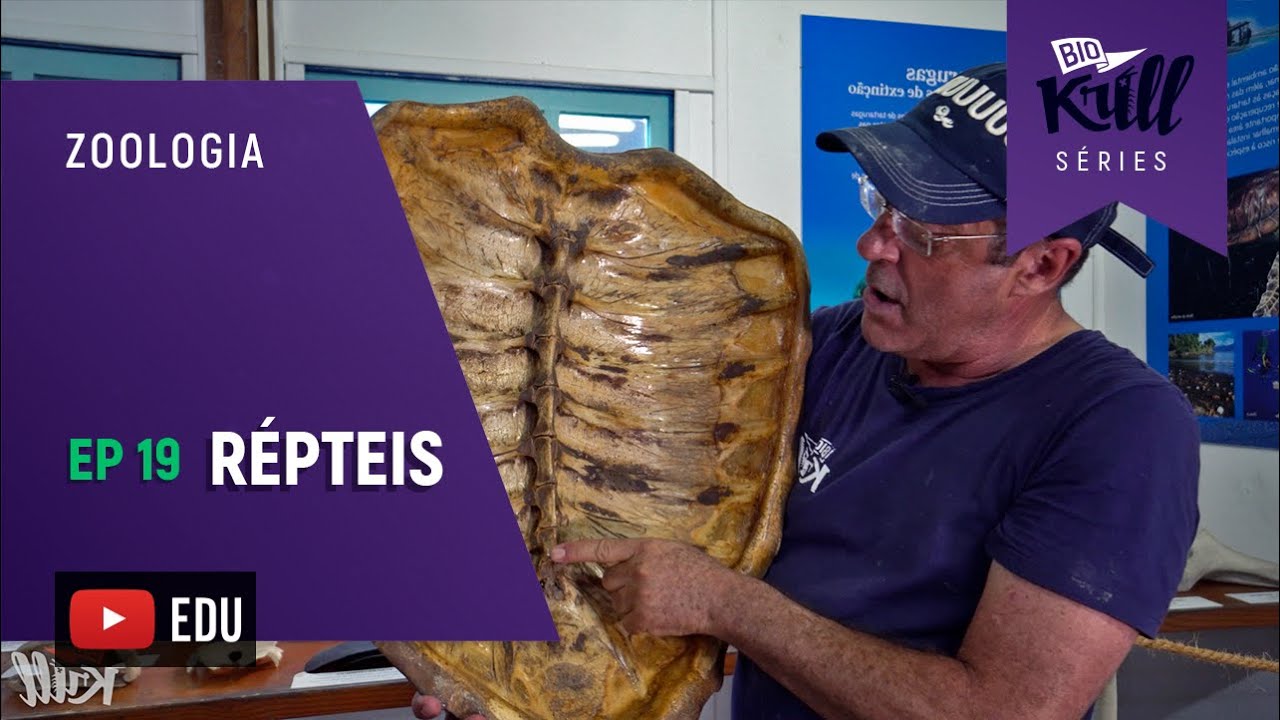 Répteis (Zoologia- EP19) I Biokrill Séries