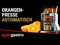 Automatic Orange Juicer - 18 kg - Grey - incl. Base frame