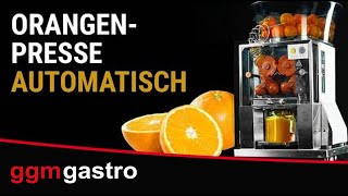 Orangenpresse - Automatische Zufuhr