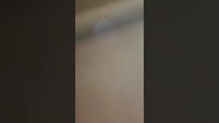 Caleb and Kelsey cover dont you wanna stay/need you now