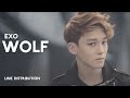 EXO Wolf Line Distribution