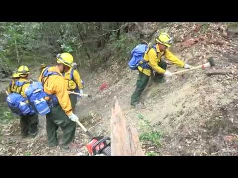 In the Line of Fire [Lodge Complex Fire 2014]