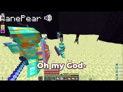 Lifesteal crashout compilation.