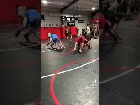 Wrestling Warmups